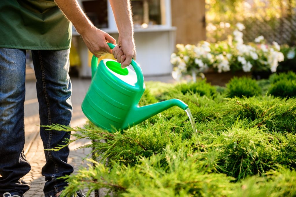 Water-Wise Landscaping: Saving Every Drop This Summer